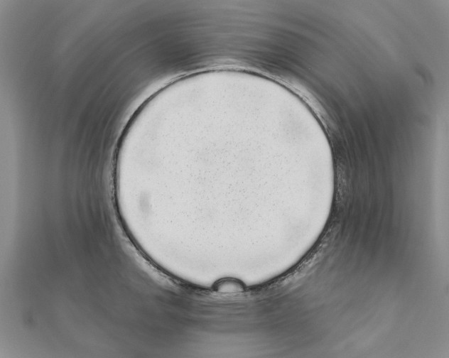 X0000110871142200907301408