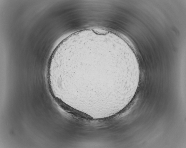 X0000110871149200907301408