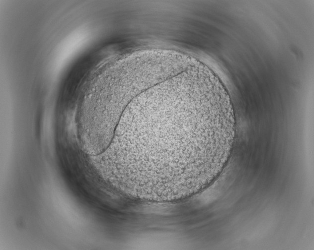 X0000110871150200907301408