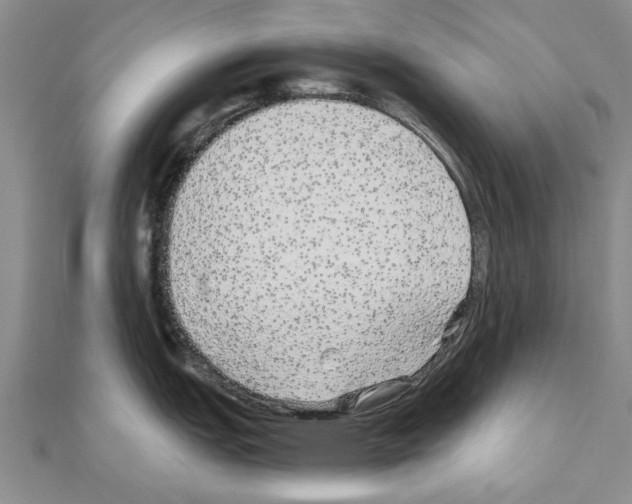 X0000110871151200907301408