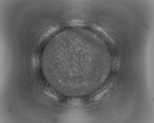 X0000110871157200907301407