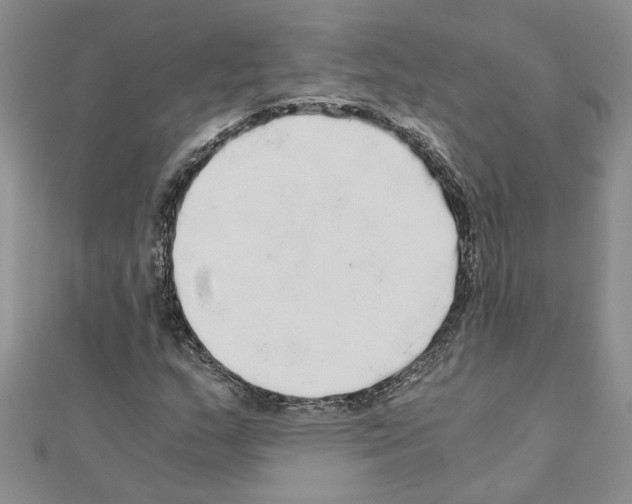 X0000110871159200907301407