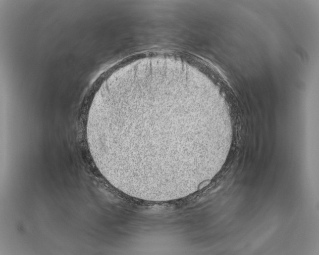 X0000110871160200907301407