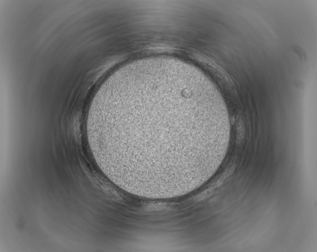 X0000110871162200907301407