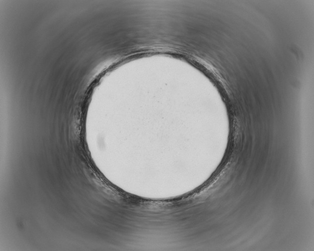 X0000110871163200907301407