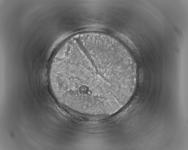 X0000110871164200907301407