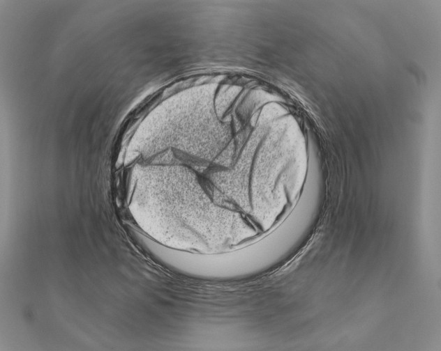 X0000110871165200907301407