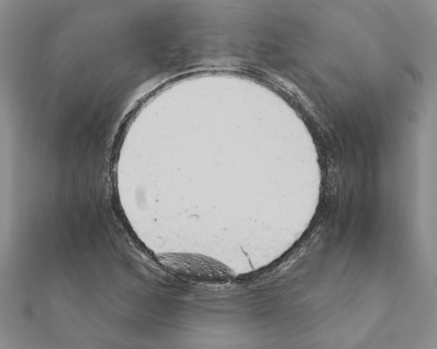 X0000110871168200907301407