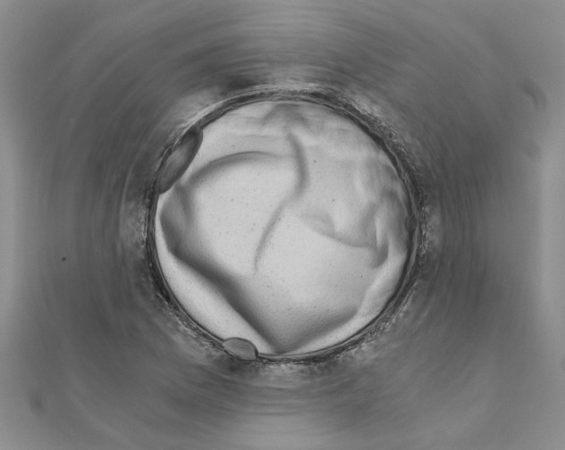 X0000110871169200907301407