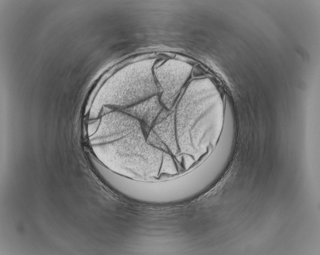 X0000110871173200907301407