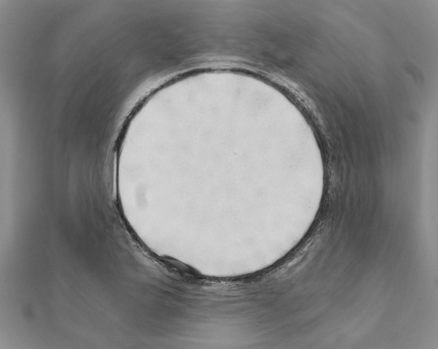 X0000110871175200907301407