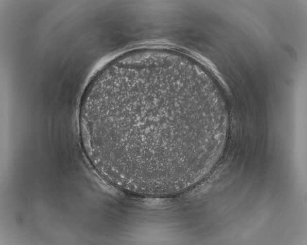 X0000110871176200907301407