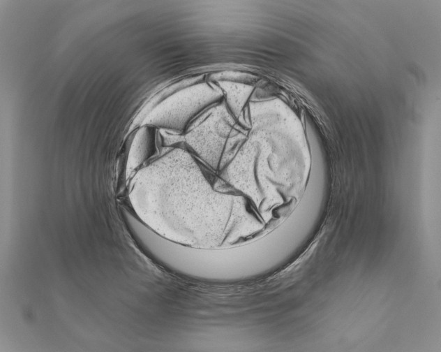 X0000110871177200907301407