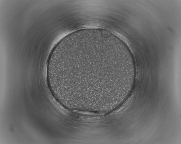 X0000110871179200907301407