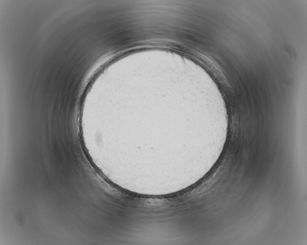 X0000110871180200907301407