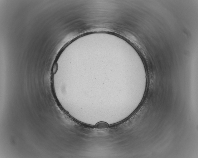 X0000110871181200907301407