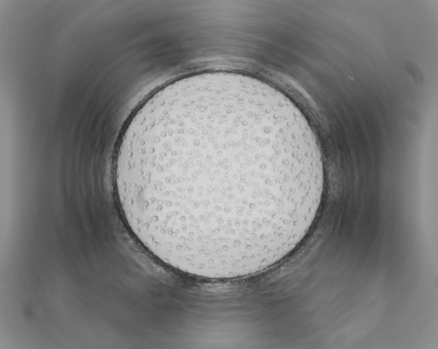 X0000110871182200907301407