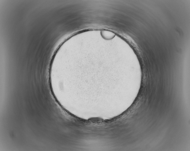 X0000110871183200907301407