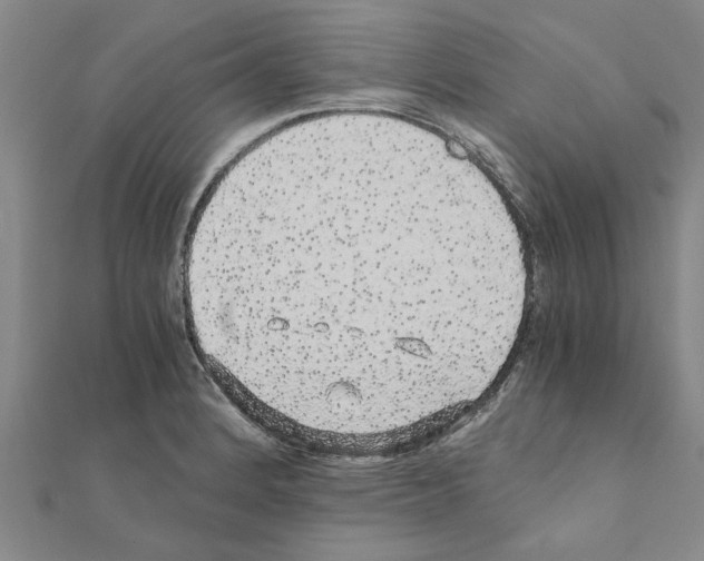 X0000110871184200907301407