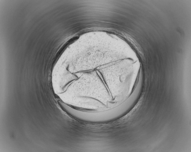 X0000110871185200907301407