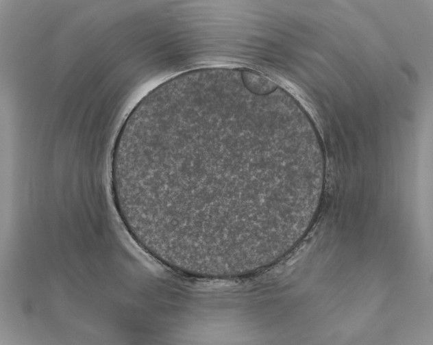 X0000110871187200907301407