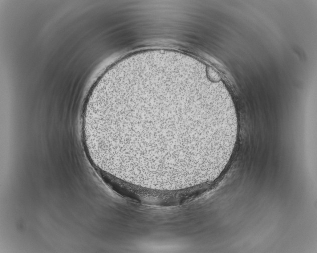 X0000110871188200907301407