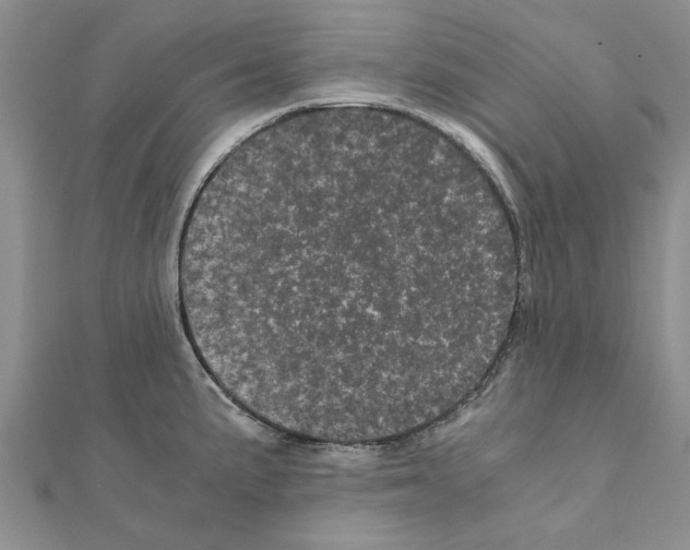 X0000110871191200907301407