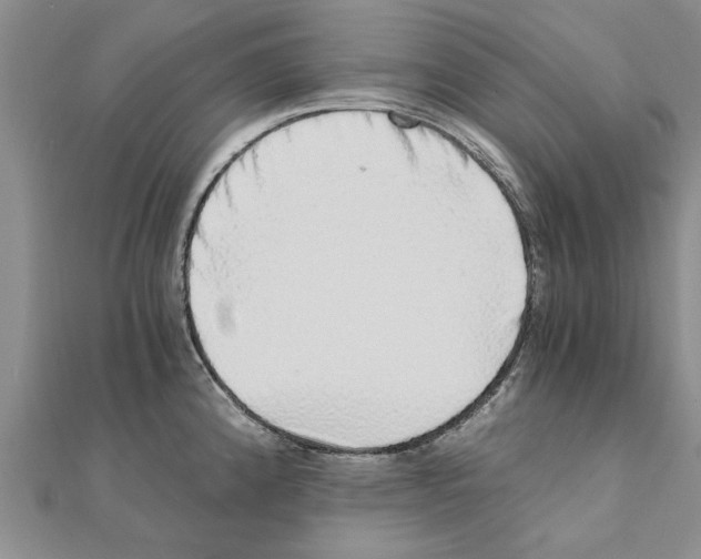 X0000110871192200907301407