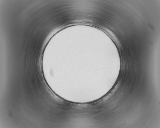 X0000110871196200907301406