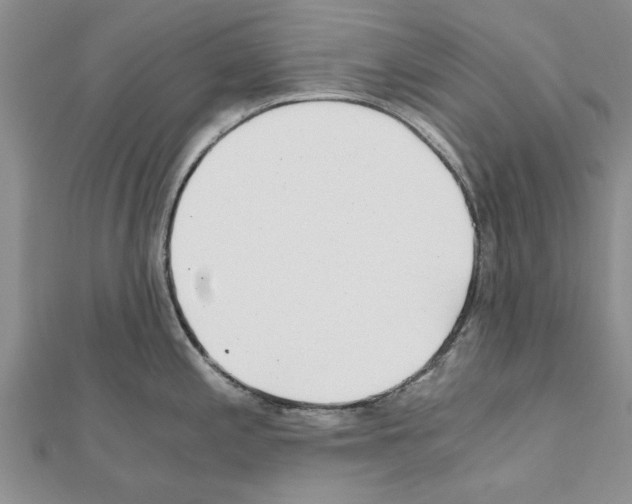 X0000110871197200907301406