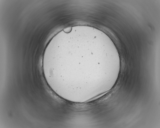 X0000110871198200907301406