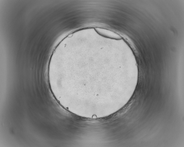 X0000110871199200907301406