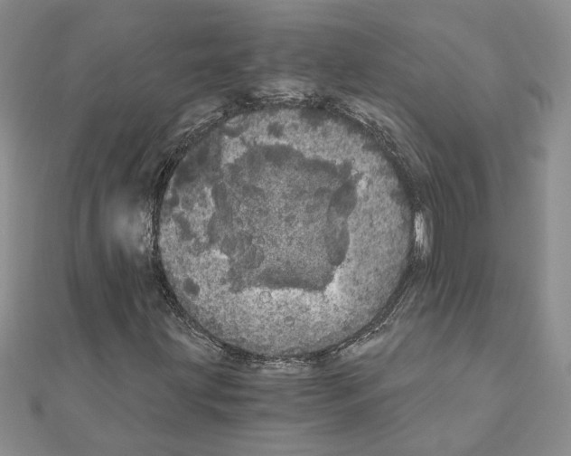 X0000110871203200907301406