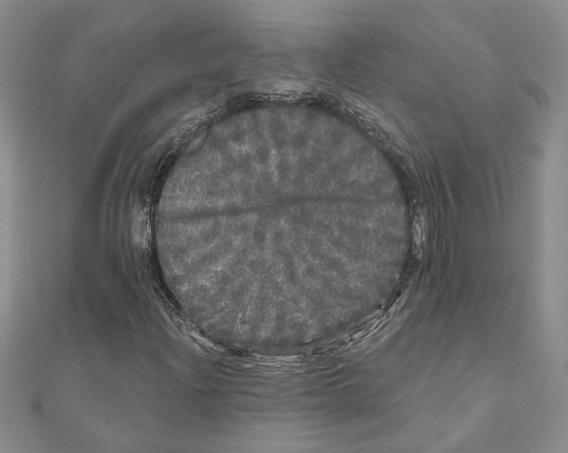 X0000110871204200907301406