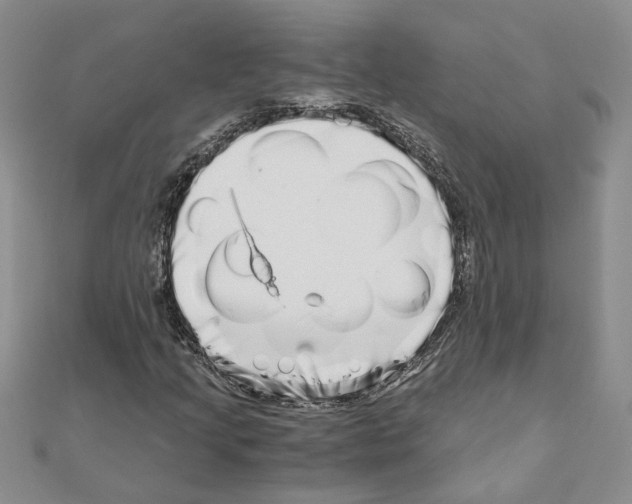 X0000110871205200907301406