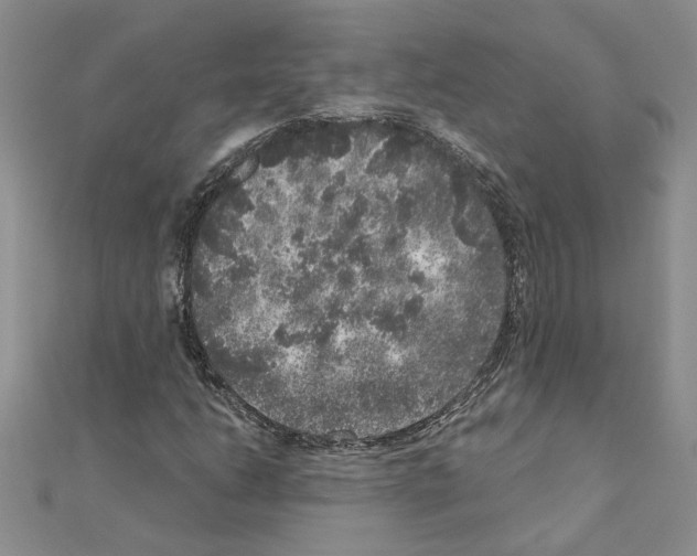 X0000110871206200907301406