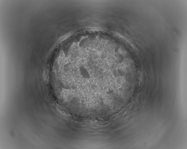 X0000110871207200907301406