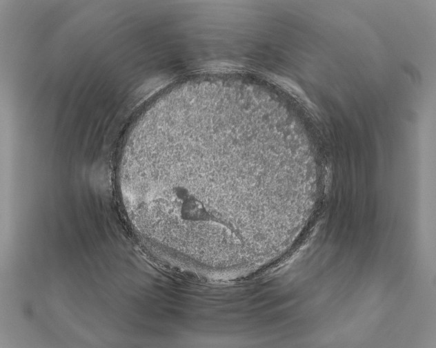 X0000110871209200907301406