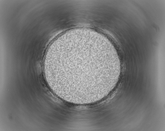 X0000110871212200907301406