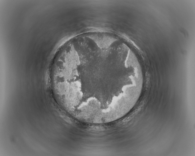 X0000110871215200907301406