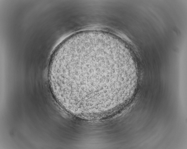 X0000110871216200907301406