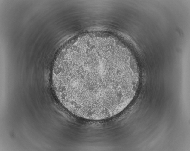 X0000110871217200907301406