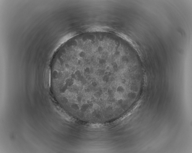 X0000110871219200907301406