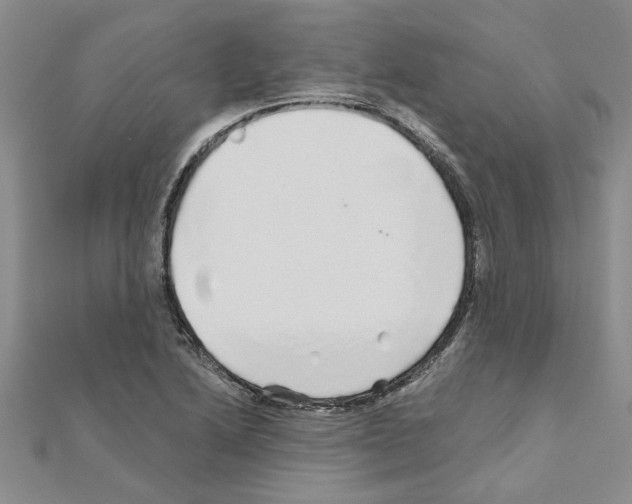 X0000110871222200907301406