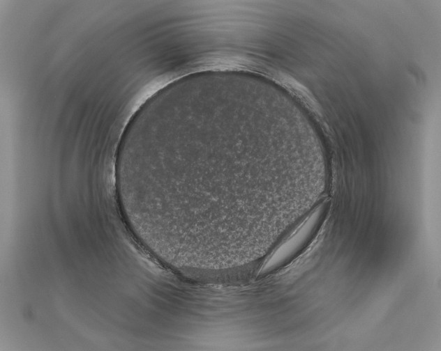 X0000110871226200907301406