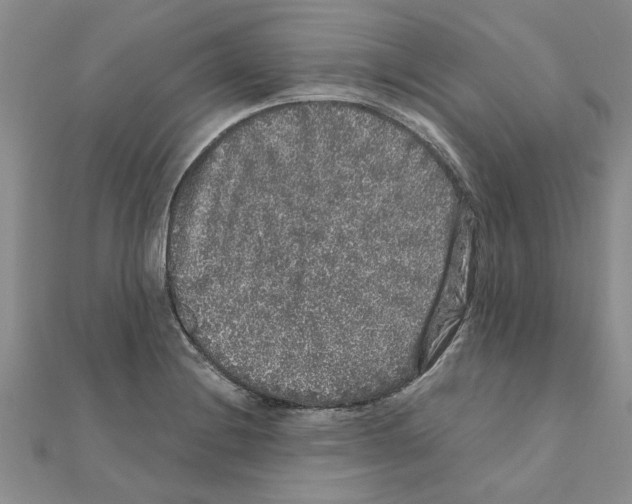 X0000110871228200907301406