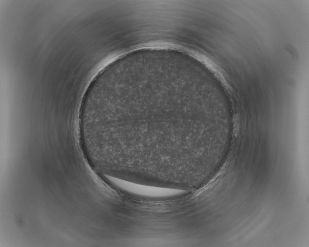 X0000110871229200907301406