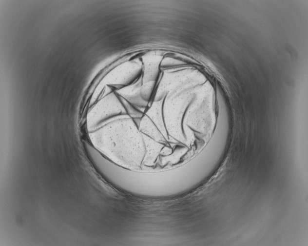 X0000110871230200907301406