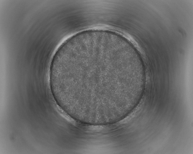 X0000110871232200907301406