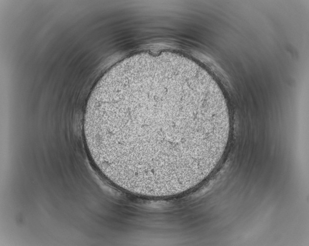 X0000110871233200907301406